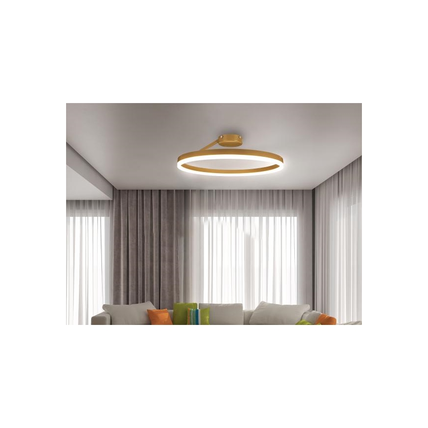 LED Stmievateľný prisadený luster LED/40W/230V 3000-6500K zlatá + diaľkové ovládanie
