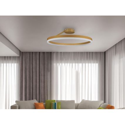 LED Stmievateľný prisadený luster LED/40W/230V 3000-6500K zlatá + diaľkové ovládanie