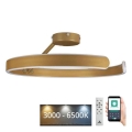 LED Stmievateľný prisadený luster LED/72W/230V 3000-6500K zlatá + diaľkové ovládanie
