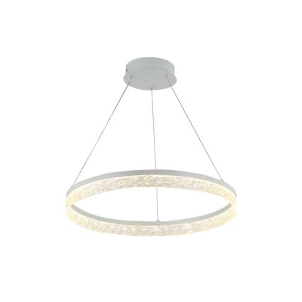 LED stmievateľný luster na lankách ALIANZ LED/60W/230V 3000-6000K pr. 80 cm + diaľkové ovládanie