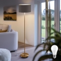 LED stojacia lampa TUNJA 1xE27/20W/230V pr. 38 cm zlatá/hnedá
