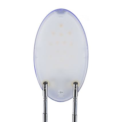 Stolná lampa LIVERPOOL LED/3W/100-240V