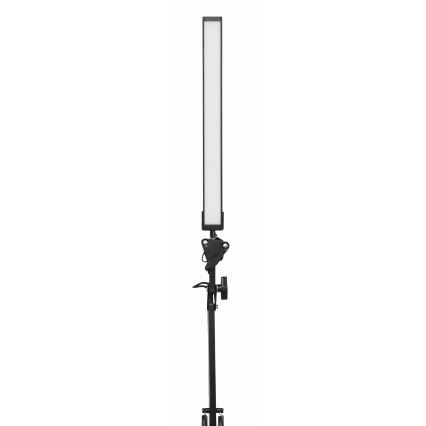 LED Stolná lampa s klipom LED/10W/230V 2800-6800K