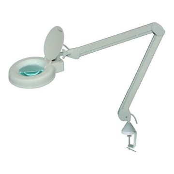 LED Stolná lampa s lupou LED/5W/230V 6000K biela