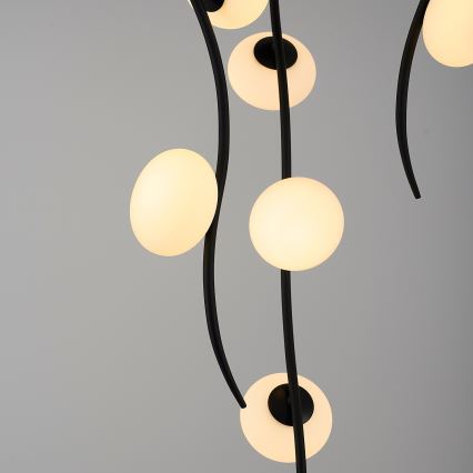 LED Stropná lampa GELA 18xLED/3W/230V 3000K čierna