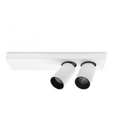 LED Stropné bodové svietidlo BERGEN 2xLED/11W/230V