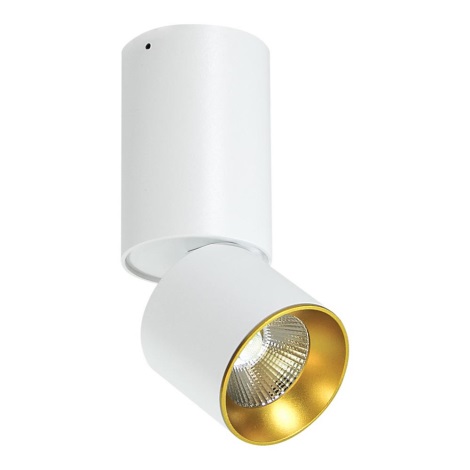 LED Stropné bodové svietidlo LED/10W/230V