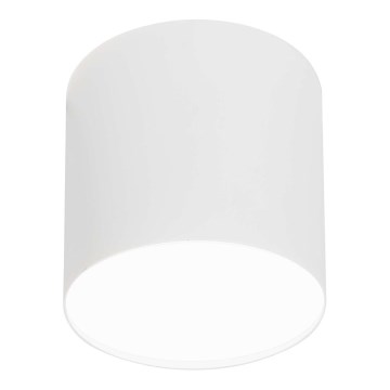 LED Stropné svietidlo 1xGU10/35W/230V
