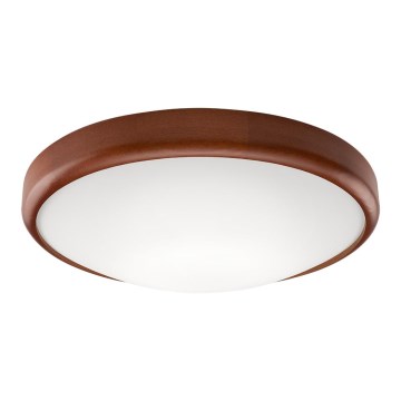 LED Stropné svietidlo 1xLED/24W/230V
