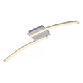 LED Stropné svietidlo 2xLED/6W/230V 3000K matný chróm