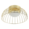 LED stropné svietidlo BETSY LED/12W/230V pr. 25 cm zlaté