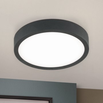 LED Stropné svietidlo BULLY LED/12W/230V pr. 14 cm čierna