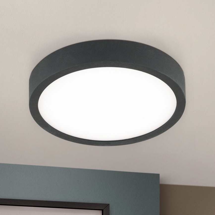 LED Stropné svietidlo BULLY LED/12W/230V pr. 14 cm čierna