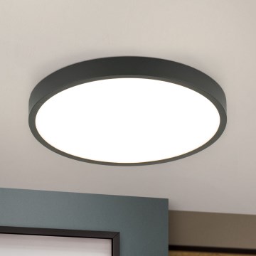 LED Stropné svietidlo BULLY LED/24W/230V pr. 24 cm čierna