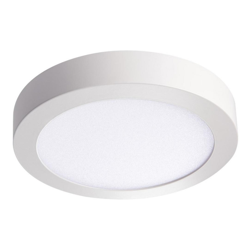 LED Stropné svietidlo CARSA LED/18W/230V 3000K biela pr. 21,5 cm