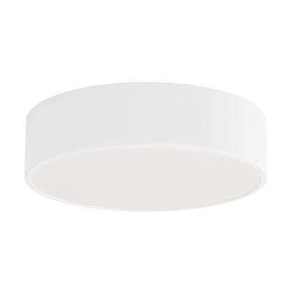 LED Stropné svietidlo CLEO LED/24W/230V 4000K pr. 30 cm biela