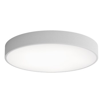 LED Stropné svietidlo CLEO LED/69W/230V 3000K pr. 60 cm šedá