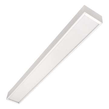 LED Stropné svietidlo CYNIDECO LED/12W/230V 4000K biele