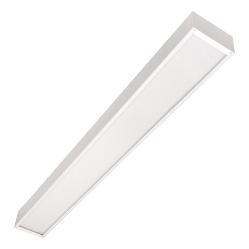 LED Stropné svietidlo CYNIDECO LED/12W/230V 4000K biele