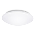 LED Stropné svietidlo DAISY NAL LED/24W/230V