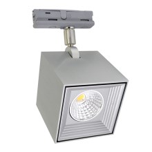 LED Stropné svietidlo DAU SPOT MONOFASE LED/10W/230V