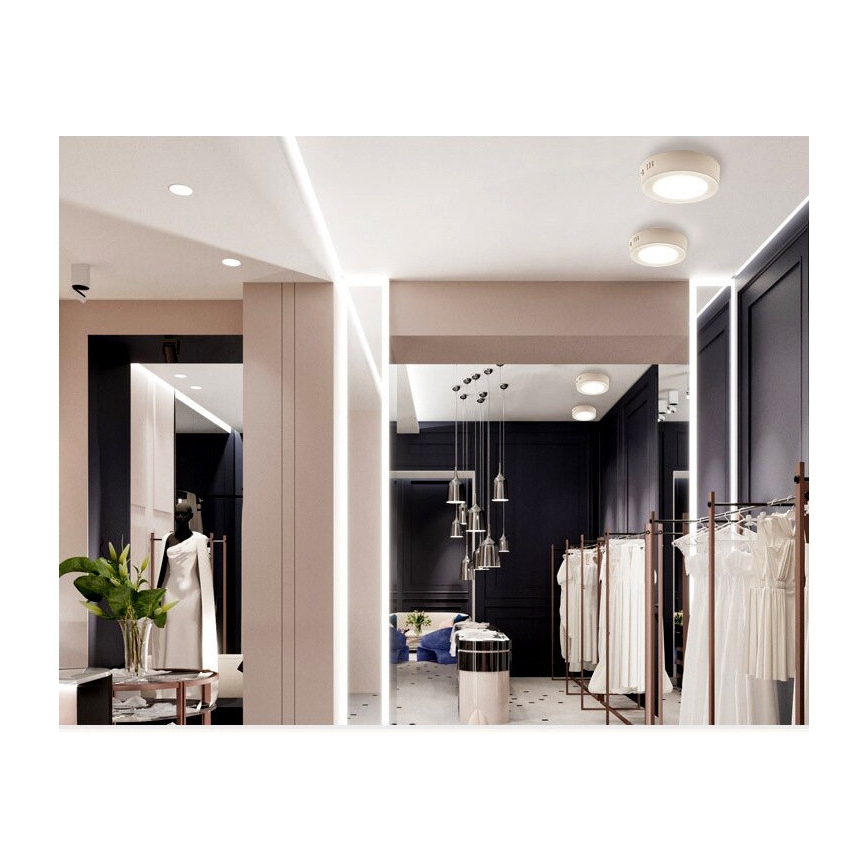 LED Stropné svietidlo DIEGO LED/12W/230V 4000K IP40 pr. 16,5 cm biele