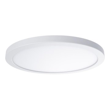 LED stropné svietidlo EVORA LED/18W/230V 3000/4000/6000K pr. 22,5 cm biele