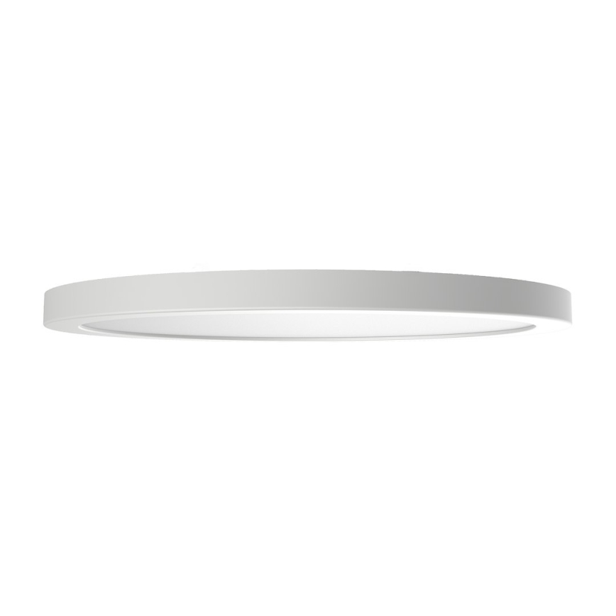 LED stropné svietidlo EVORA LED/18W/230V 3000/4000/6000K pr. 22,5 cm biele