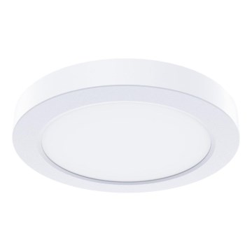 LED stropné svietidlo EVORA LED/6W/230V 3000/4000/6000K priemer 14 cm biele