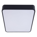 LED Stropné svietidlo FELIZ LED/50W/230V 4000K 40x60 cm čierna