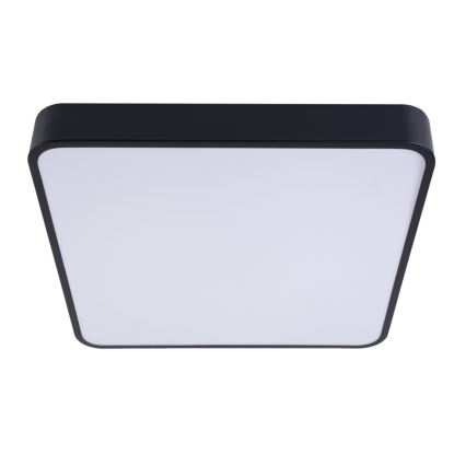 LED Stropné svietidlo FELIZ LED/50W/230V 4000K 40x60 cm čierna