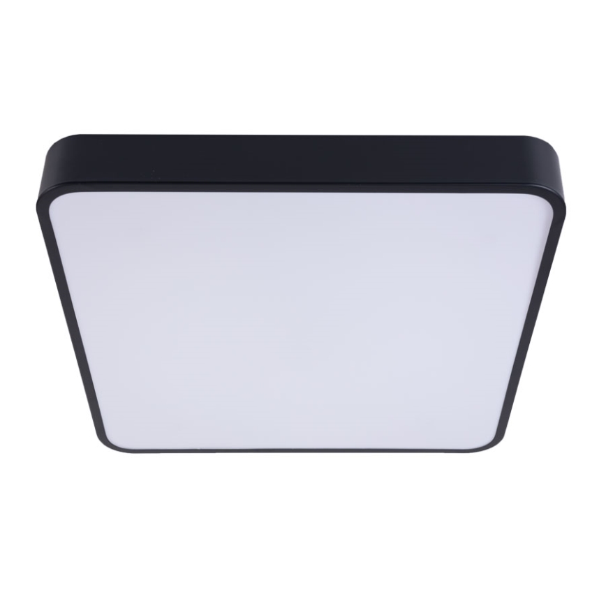 LED Stropné svietidlo FELIZ LED/50W/230V 4000K 40x60 cm čierna