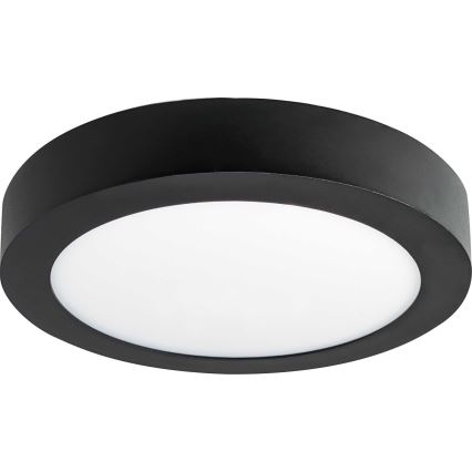 LED Stropné svietidlo FENIX LED/12W/230V 2800K pr. 17 cm