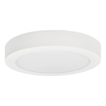 LED Stropné svietidlo FENIX LED/12W/230V 2900/3900/5800K pr. 16,8 cm biela