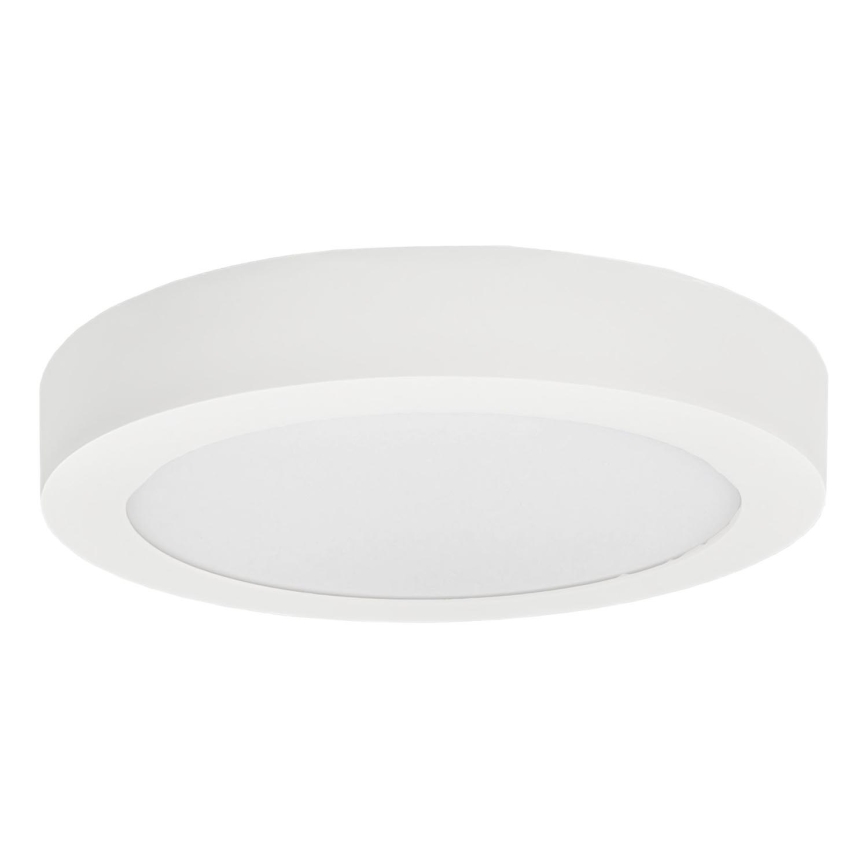 LED Stropné svietidlo FENIX LED/12W/230V 2900/3900/5800K pr. 16,8 cm biela