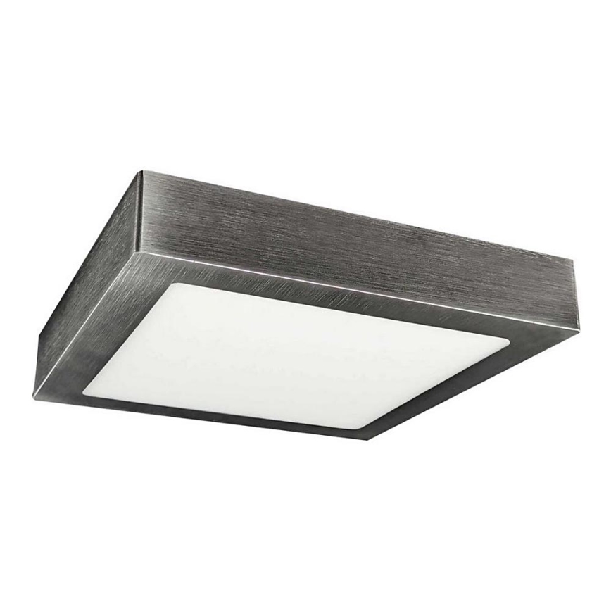 LED Stropné svietidlo FENIX LED/12W/230V 3800K 17 cm