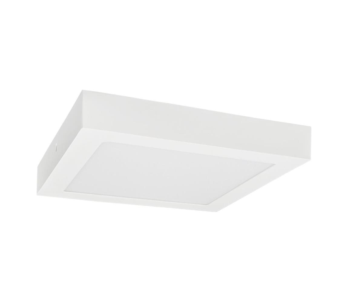 Greenlux LED Stropné svietidlo FENIX LED/12W/230V 3800K 17 cm snehovo biela