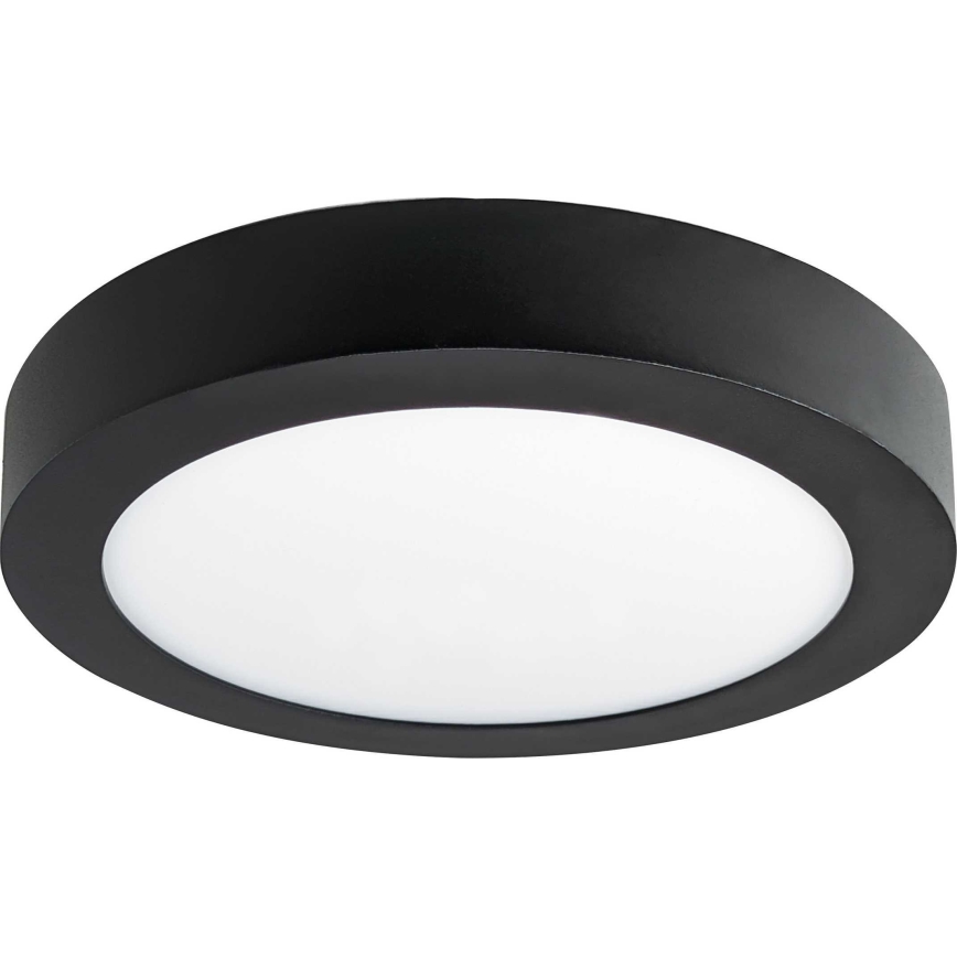 LED Stropné svietidlo FENIX LED/12W/230V 3800K  pr. 17 cm