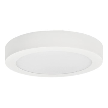 LED Stropné svietidlo FENIX LED/12W/230V 3800K pr. 17 cm snehovo biela