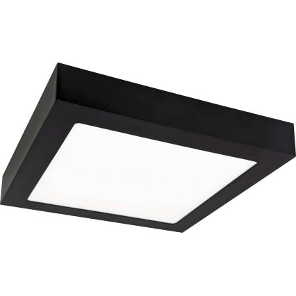 LED Stropné svietidlo FENIX LED/18W/230V 2800K 22,5 cm