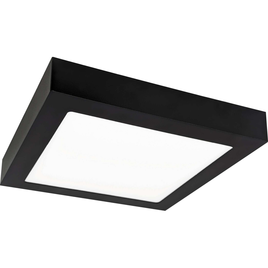LED Stropné svietidlo FENIX LED/18W/230V 2800K 22,5 cm
