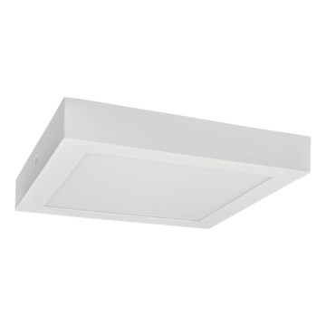 LED Stropné svietidlo FENIX LED/24W/230V 3800K 29,8 cm