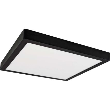 LED Stropné svietidlo FENIX LED/24W/230V 3800K 29,8 cm