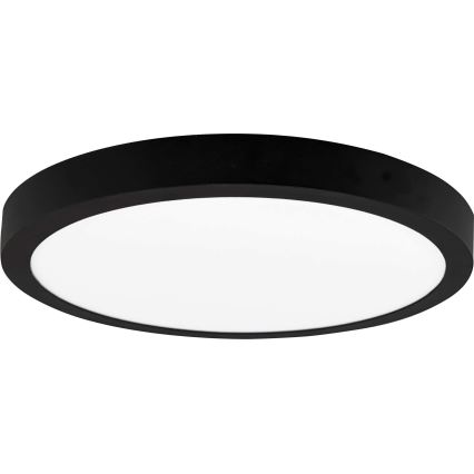 LED Stropné svietidlo FENIX LED/24W/230V 3800K pr. 29,8 cm