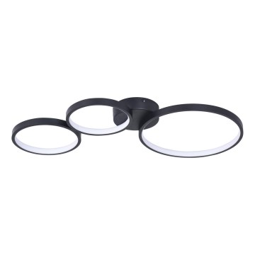 LED Stropné svietidlo FLAMENCO LED/33W/230V 4000K čierna