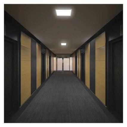 LED Stropné svietidlo FLORI LED/22W/230V 4000K biela 42x42 cm