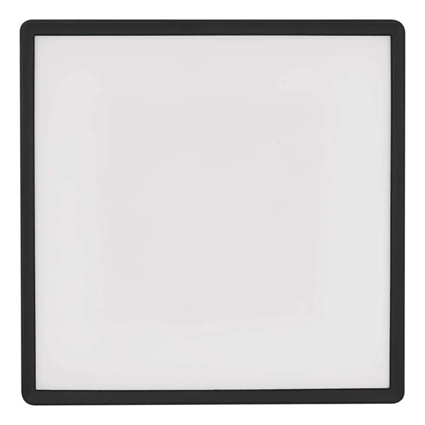 LED Stropné svietidlo FLORI LED/22W/230V 4000K čierna 42x42 cm