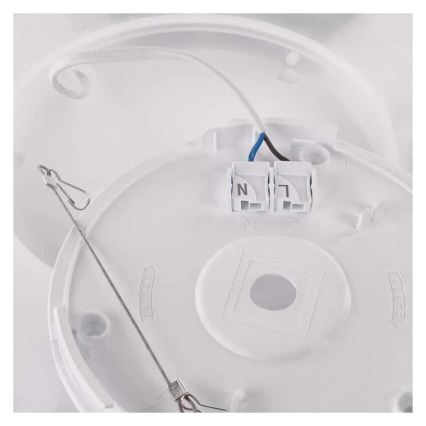 LED Stropné svietidlo FLORI LED/22W/230V 4000K čierna 42x42 cm