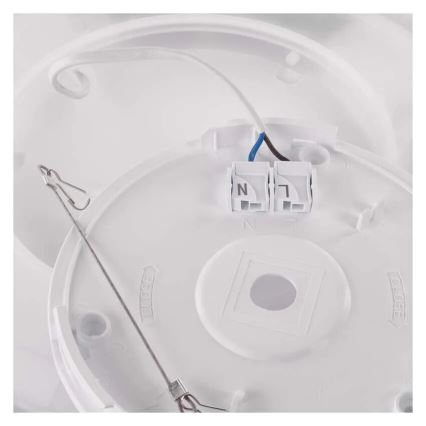 LED Stropné svietidlo FLORI LED/22W/230V 4000K čierna pr. 42 cm
