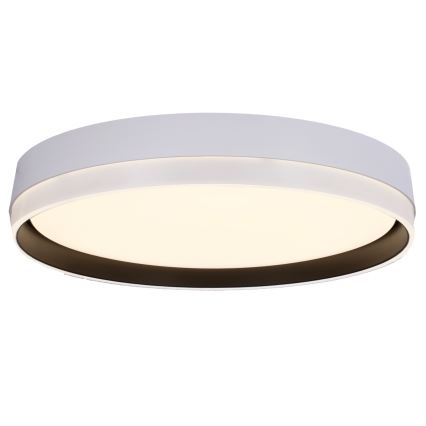 LED Stropné svietidlo FLORIDA LED/24W/230V biela
